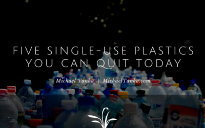 Five Single-Use Plastics You Can Quit Today
