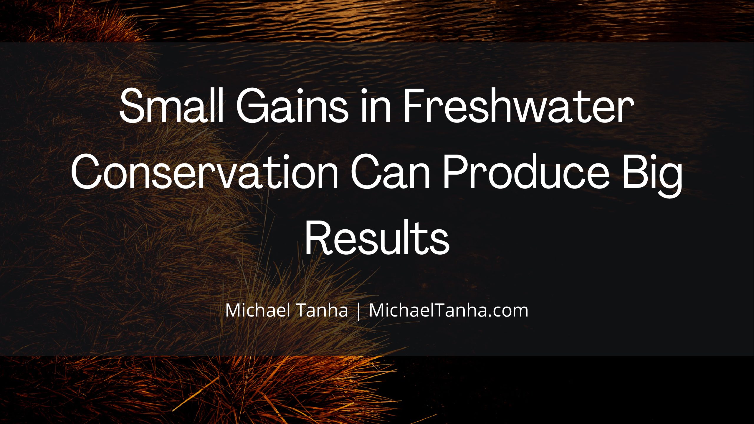 Small Gains in Freshwater Conservation Can Produce Big Results
